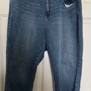 Torrid Blue Jegging with Button Detail